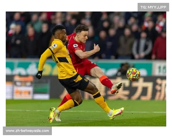 纽卡欲花6000万引进狼队内托 利物浦同样示好