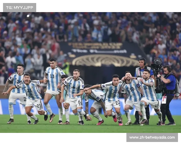 1978年阿根廷世界杯球员名单及其比赛表现分析