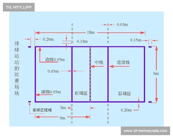 标准排球场围网尺寸详解及规范指南 বাৰ
